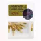 Nordin Golden Cylindrical Cross Head Screw Posts Refill XL6