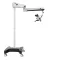 COXO C-CLEAR-1 Basic Edition