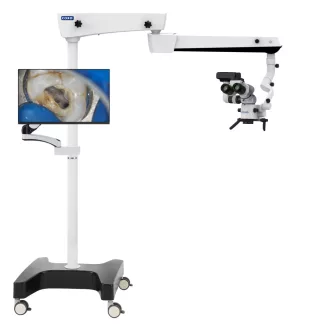 COXO C-CLEAR-1 Standard Edition