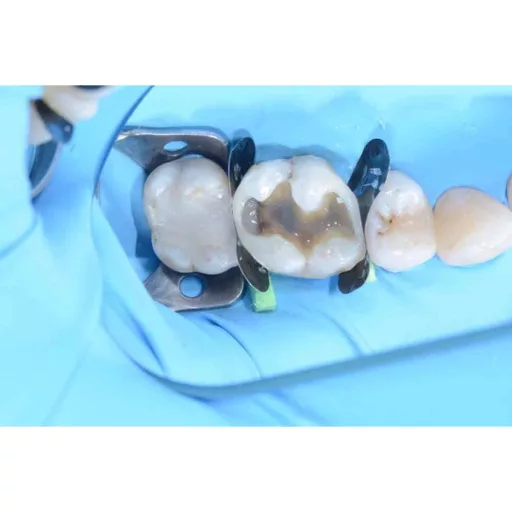 myTines Refill S, M, L, 6 pár